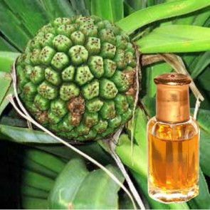 Alda Natural Kewra Concentrated Perfume Oil Alcohol-free Kewra Attar 10ml